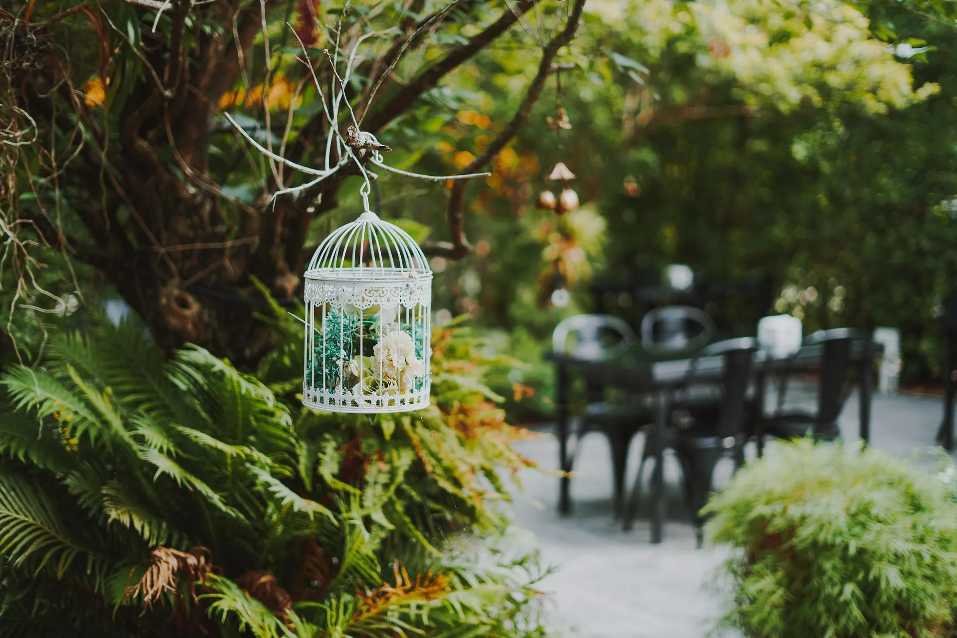 Cozy restaurant atmosphere